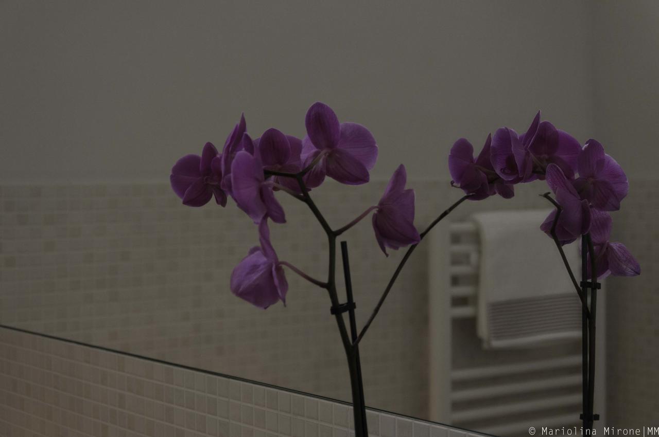 I Balconi Sul Castello Bed & Breakfast Catania Exterior photo